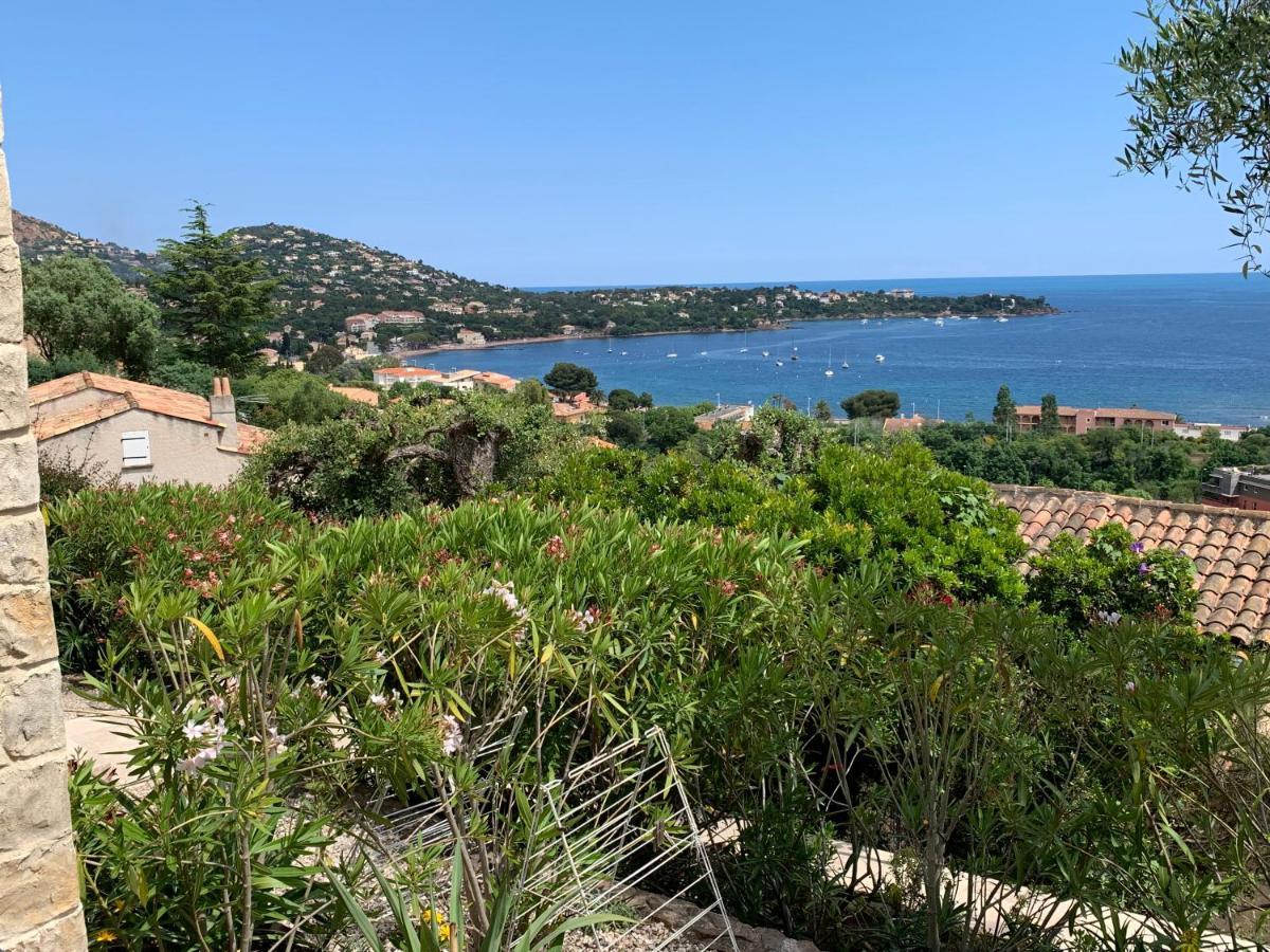 Apartment Grand Baie