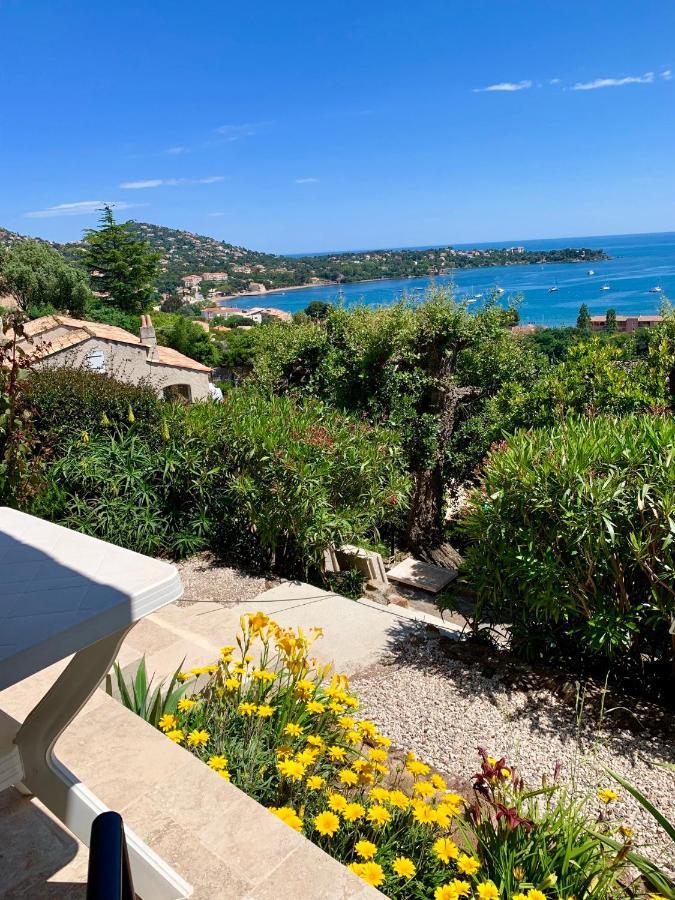 Apartment Grand Baie *