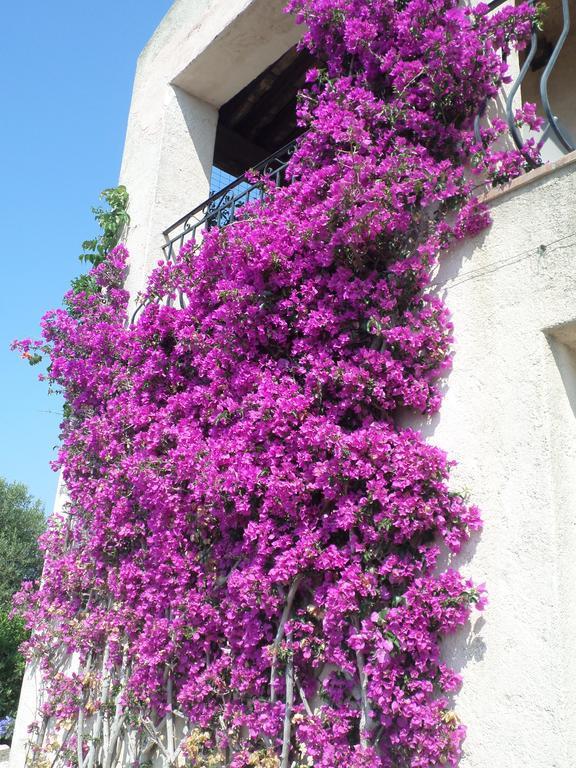 Grand Baie Apartment Saint-Raphael (Var)